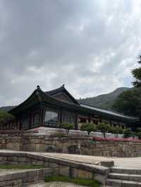 인생사진 찍을 수 있는 구례 화엄사🫡
