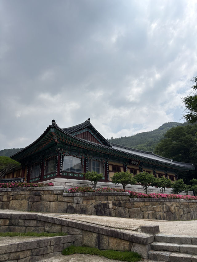 인생사진 찍을 수 있는 구례 화엄사🫡
