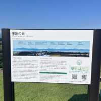 110段⁉️帯広市で絶景見るならココ👀✨