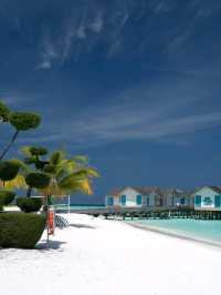 🌴 Cora Cora Maldives – Where Fun Meets Freedom