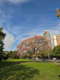 해외여행 부에노스아이레스의 운동공원 Plaza Oriental Republic of Uruguay