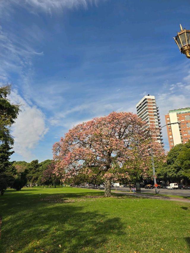 해외여행 부에노스아이레스의 운동공원 Plaza Oriental Republic of Uruguay