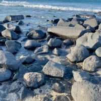 Must-Visit on the Gold Coast: Burleigh Head National Park