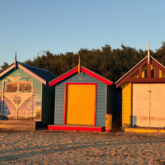 Brighton Beach | A Must-Visit in Melbourne 🇦🇺🎨