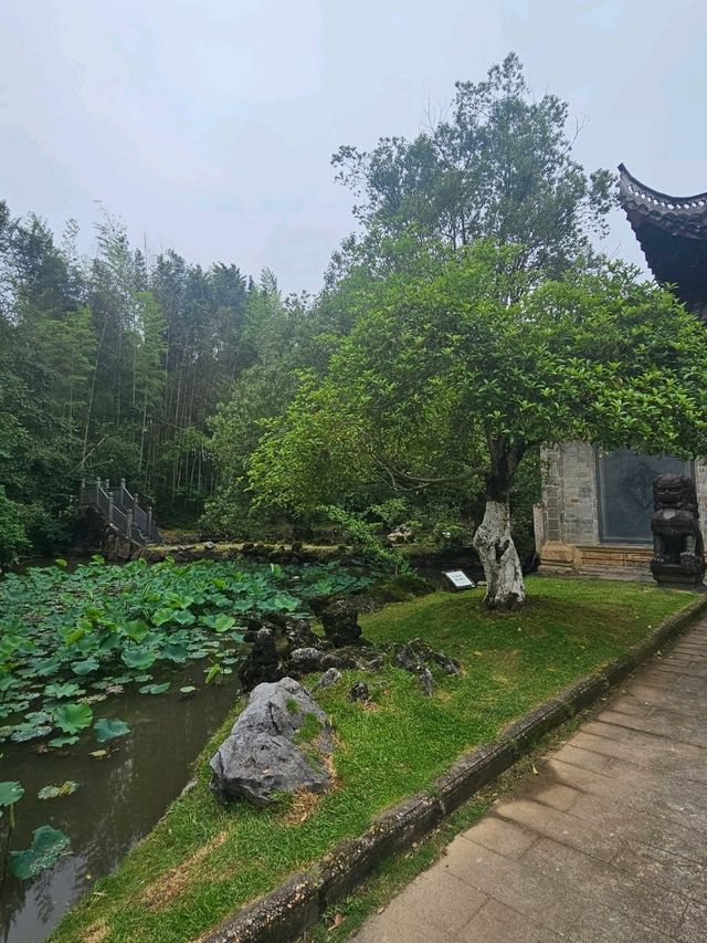 A day trip to Jingdezhen - Capital city of porcelain 