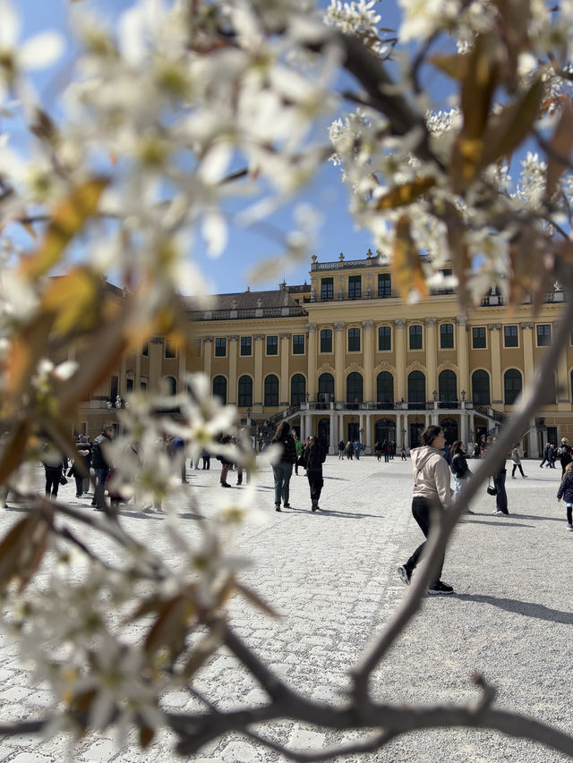 Vienna in Full Glory – A Day with Royal Halls, Sacred Silence & Golden Books