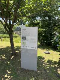 【福岡】大濠公園攻略ガイド🏞️