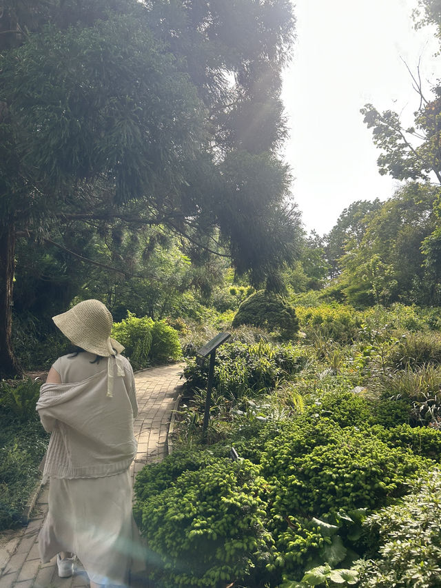 🌳 바다를 품은 식물들의 낙원, 천리포수목원