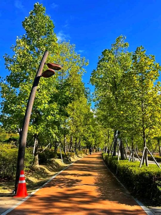 Busan Citizens Park: A Green Oasis in the Heart of the City