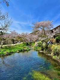 โอซาก้า🇯🇵