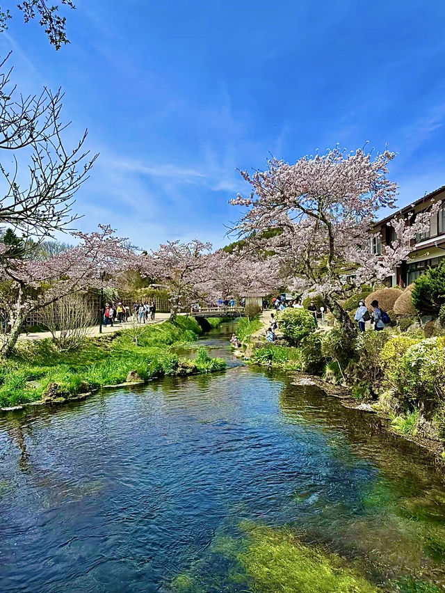 โอซาก้า🇯🇵
