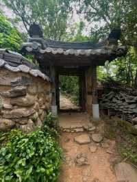 Forest Paths, Temple Vibes, and Total Peace Mode**