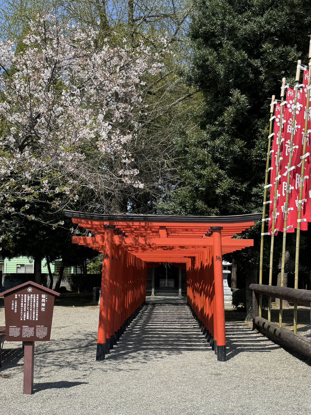 일본 여행지 추천 🇯🇵✈️