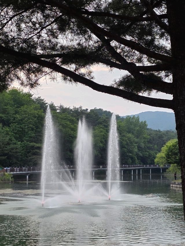 제천의 물길을 따라 걷는 하루 여행