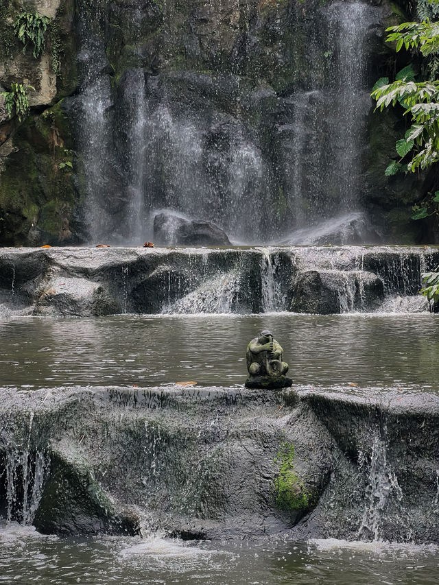 Birds, Beauty & Tropical Vibes at KL Bird Park 🦜🌴