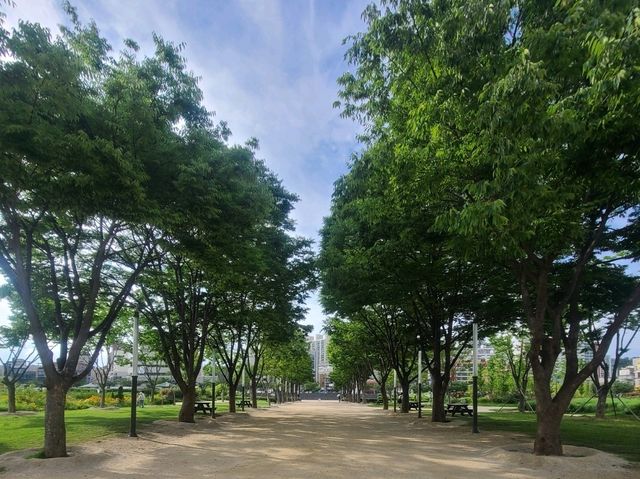 태화강 국가정원 (울산 가볼만한 곳)