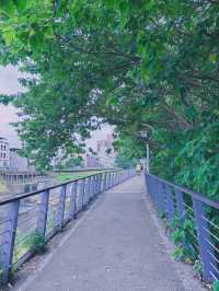 🌿桃園中壢散步秘境｜老街溪自行車道，綠蔭樹下的城市靜旅