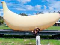 哈瑪星鐵道園✨復古火車打卡，穿越時空嘅鐵道之旅😘