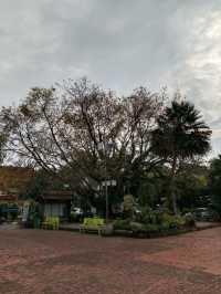 ชมความงามของพระนอนองค์ใหญ่ วัดหาดใหญ่ใน