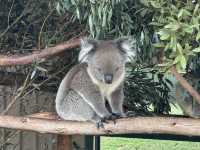 Best of Perth with Kids in 4 Fulfilling Days!