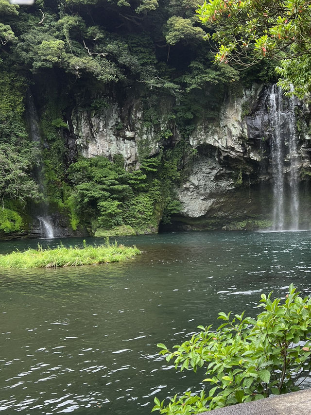 제주도의 여름
