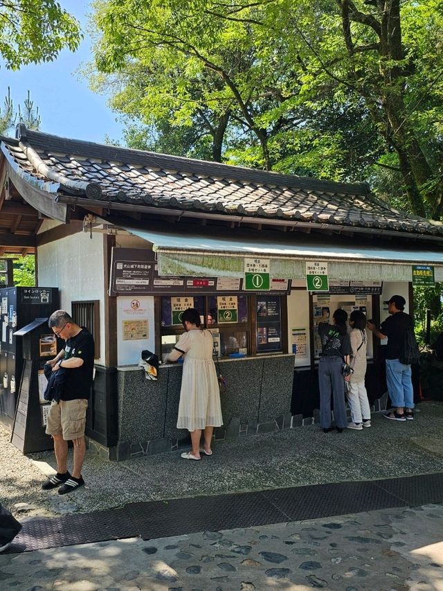 📍城與河的浪漫交會，犬山城半日小旅行
