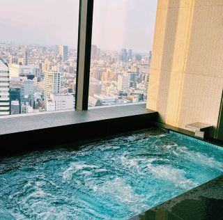 Tokyo Luxury Infinity Pool Hotel: The Prince Gallery Tokyo Kioicho