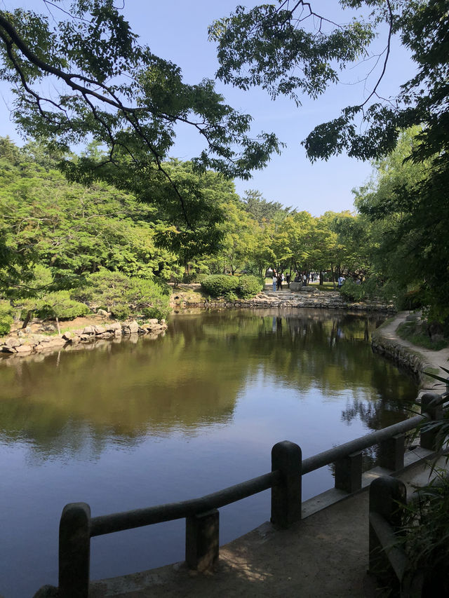 🌟✨ ‘경주 불국사’ 여행✨🌟 