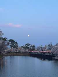 四季が彩る歴史の庭。高田城址公園で静かな時間を🌸