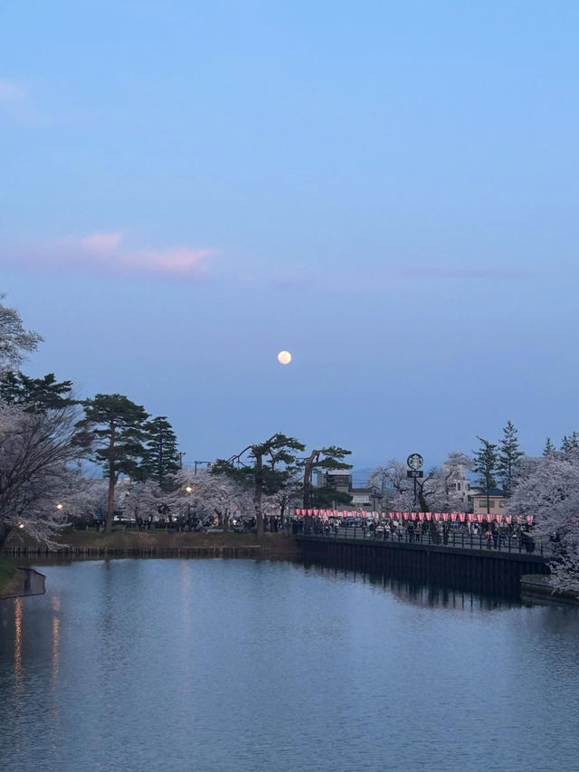 四季が彩る歴史の庭。高田城址公園で静かな時間を🌸