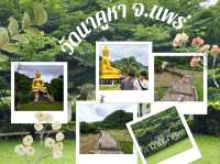 ถ่ายรูปสะพานไม้ไผ่วิวทุ่งนา กับ วัดนาคูหา📍แพร่ 