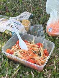 Picnic spot , the strand (Townsville, qld) 🇦🇺