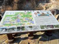 Unzen Jigoku: Steaming Landscapes and Sulfuric Legends in the Mountains of Kyushu