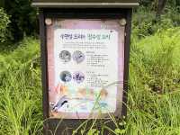 고덕 수변 생태 공원