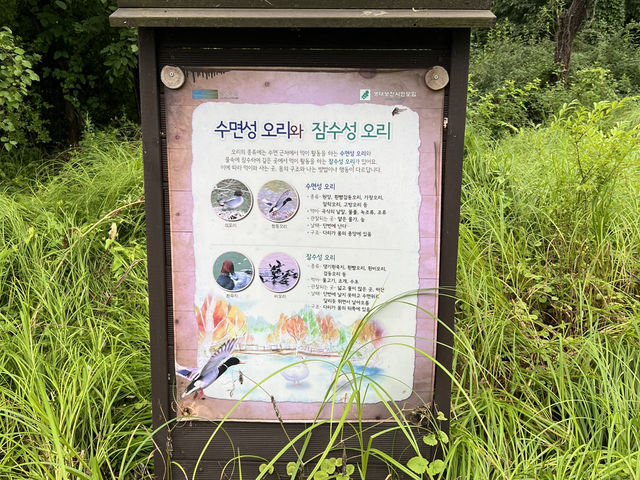 고덕 수변 생태 공원