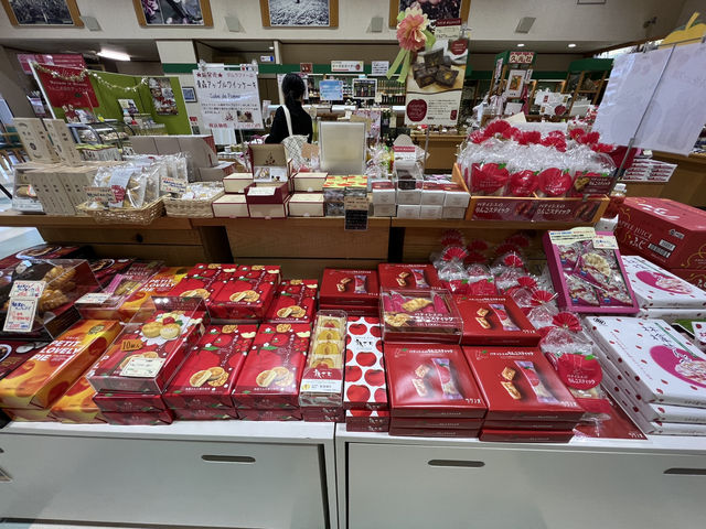 🍎 Apple Wonderland in Hirosaki – A Family Delight!