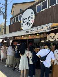 🌸⛩️ 3D2N Mt. Fuji, Hakone & Kamakura Scenic Escape! 🗻🚞✨