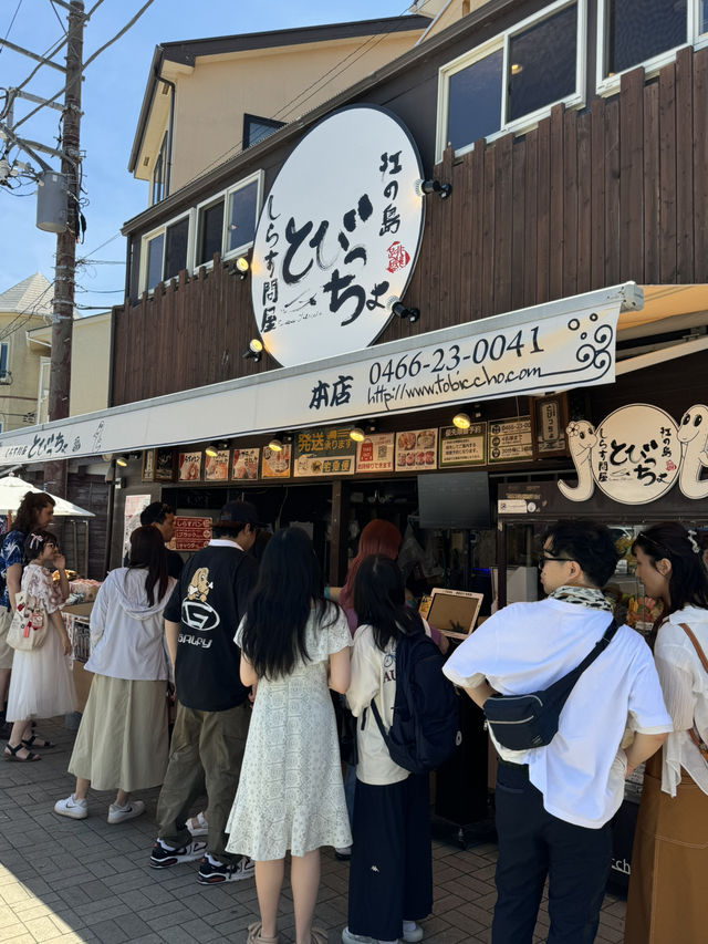 🌸⛩️ 3D2N Mt. Fuji, Hakone & Kamakura Scenic Escape! 🗻🚞✨
