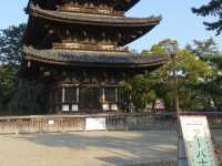 🛕 Peace and Presence at Kōfuku-ji, Nara