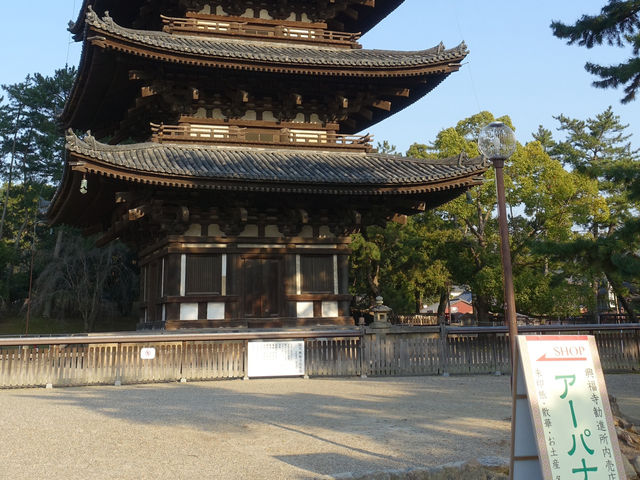 🛕 Peace and Presence at Kōfuku-ji, Nara