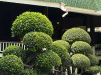 Bangkok City Walk: A Century-Old Tycoon's Estate! 🌳🏡