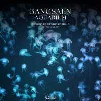 Bangsaen Aquarium เที่ยวชิล ๆ ได้ความรู้ไปด้วย 