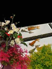 ไปดูศิลปะที่คู่กับปลาที่ ART AQUARIUM MUSEUM !