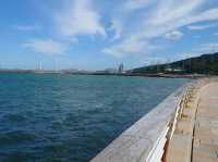 【海と緑のふれあい空間🌞】ひびき海の公園でのんびり海辺さんぽ