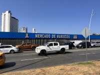 【Mercado de Mariscos｜パナマシティの鮮魚＆魚介市場】
