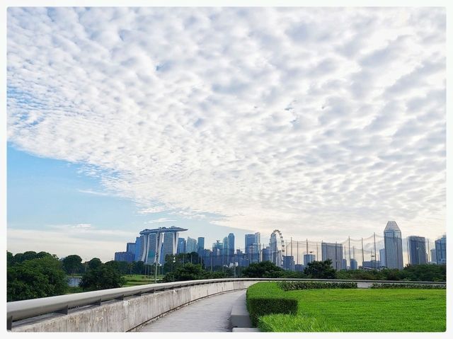 ปั่น ๆ ๆ @ Singapore