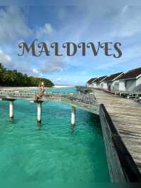  #Maldives➖Views That Feel Like a Dream 🌊