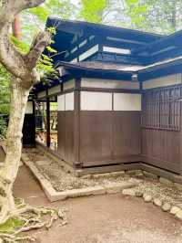 🏯 Kakunodate: Where Samurai Ghosts Walk Beneath 400 Cherry Trees!