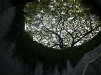 A Leafy Escape in the City – My Visit to Fort Canning Park, Singapore