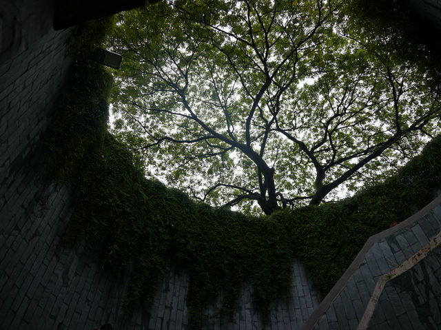 A Leafy Escape in the City – My Visit to Fort Canning Park, Singapore